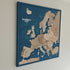 Blue Push Pins for Travel Maps